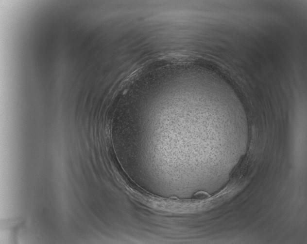 X0000080130048200612221908