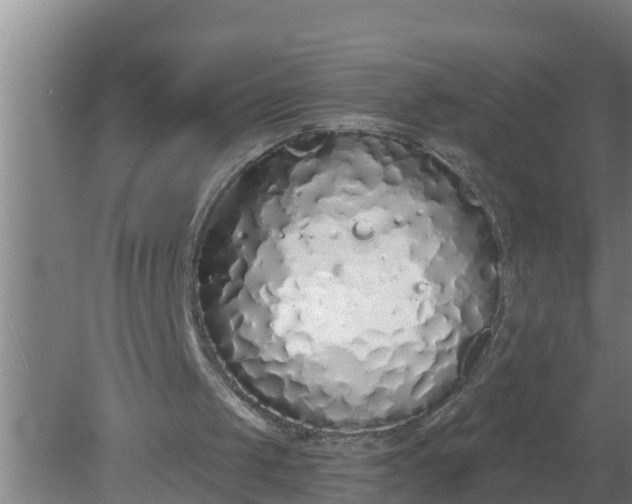 X0000080130049200612221908