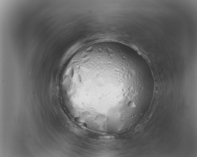 X0000080130053200612221908