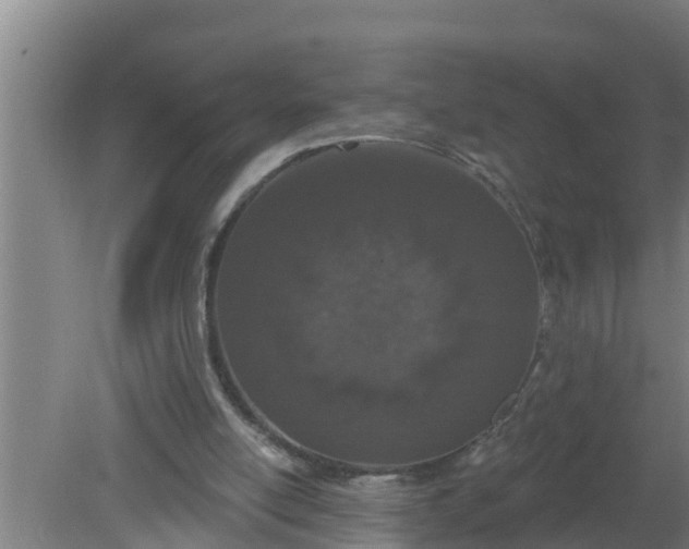 X0000080130054200612221908