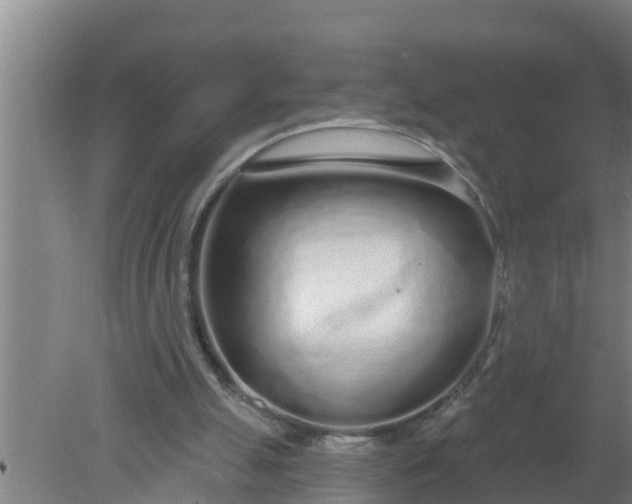 X0000080130055200612221908