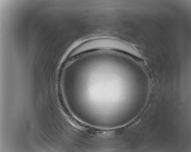 X0000080130056200612221908