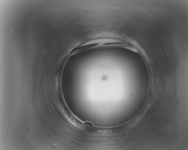 X0000080130057200612221908