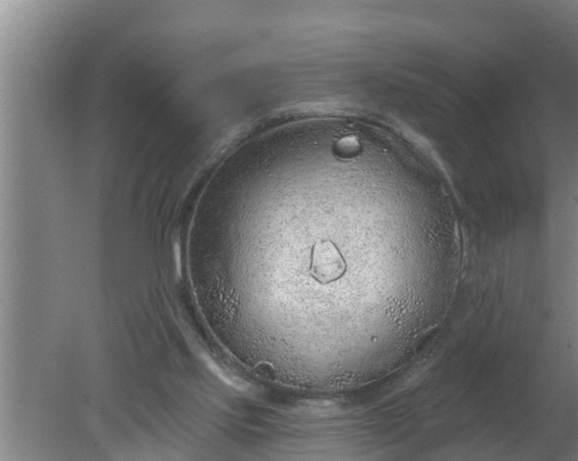 X0000080130061200612221908