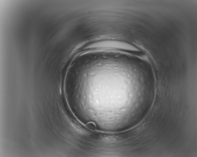 X0000080130062200612221908