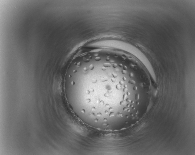 X0000080130064200612221908