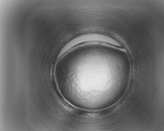 X0000080130065200612221908