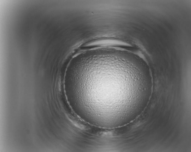 X0000080130068200612221908