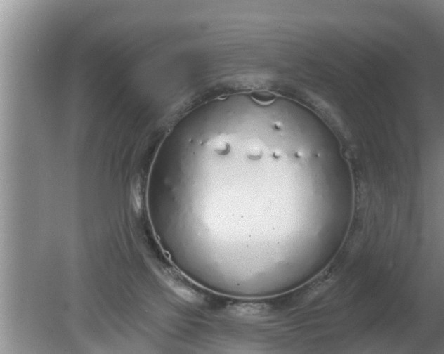 X0000080130069200612221908