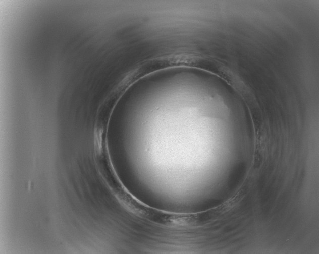 X0000080130070200612221908