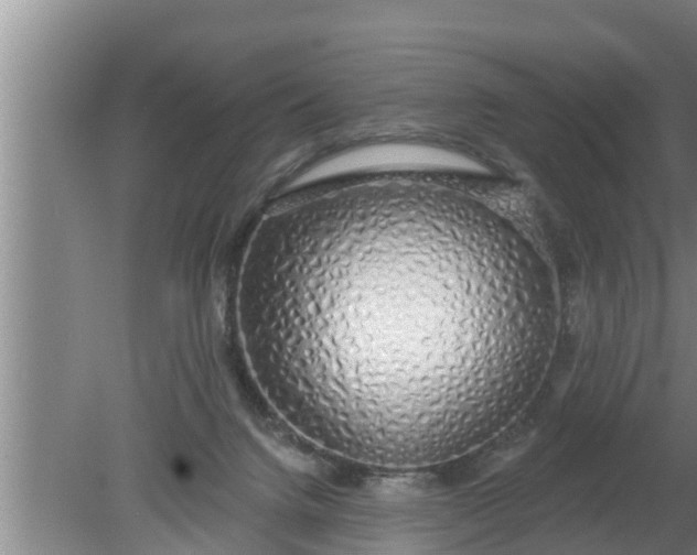 X0000080130072200612221908