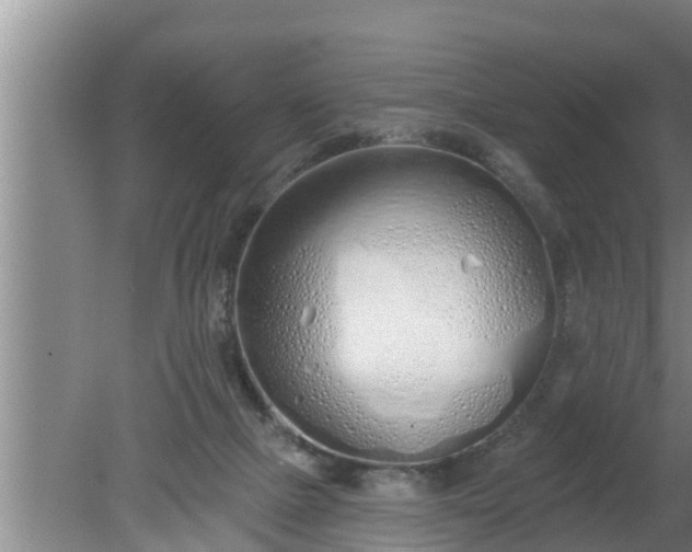 X0000080130073200612221908