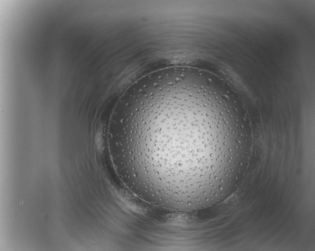 X0000080130074200612221908