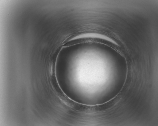 X0000080130076200612221908