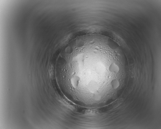 X0000080130077200612221908