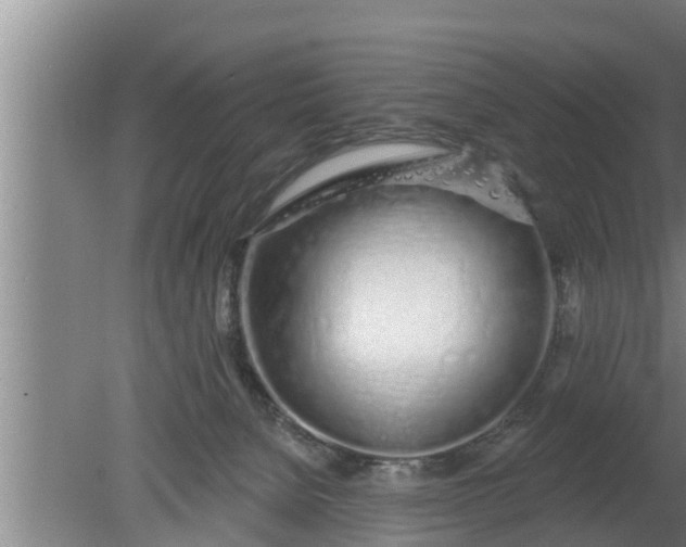 X0000080130080200612221908