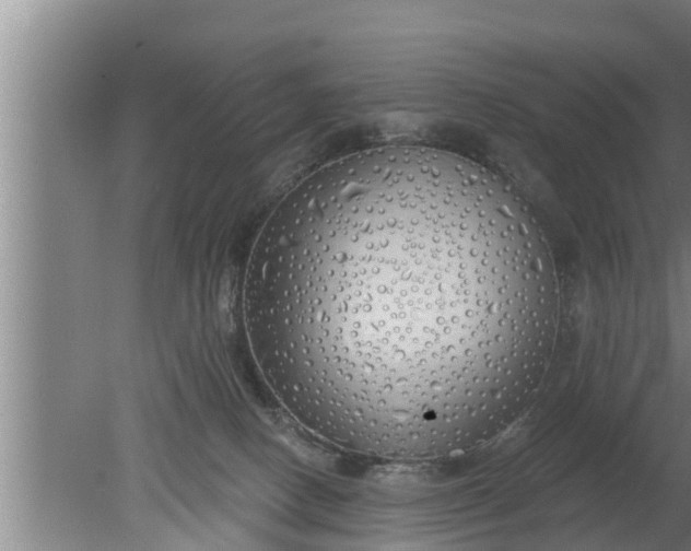 X0000080130082200612221908