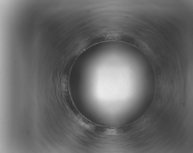 X0000080130083200612221908