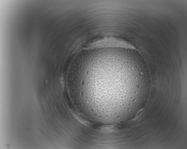 X0000080130086200612221908