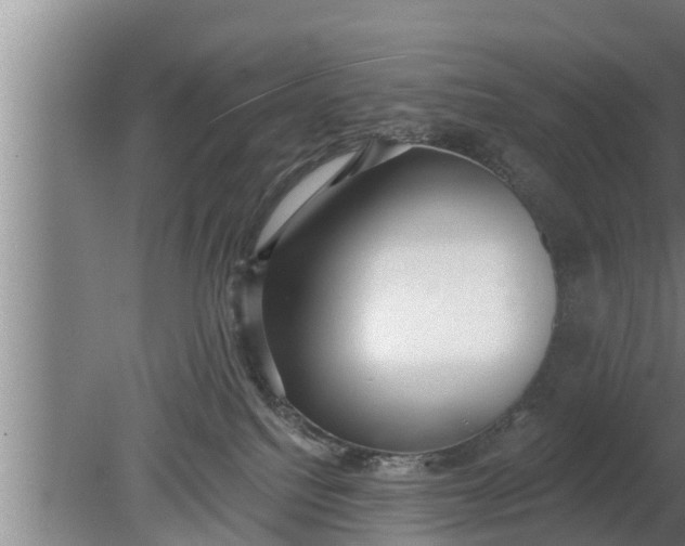 X0000080130088200612221908