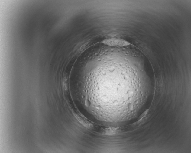 X0000080130090200612221908