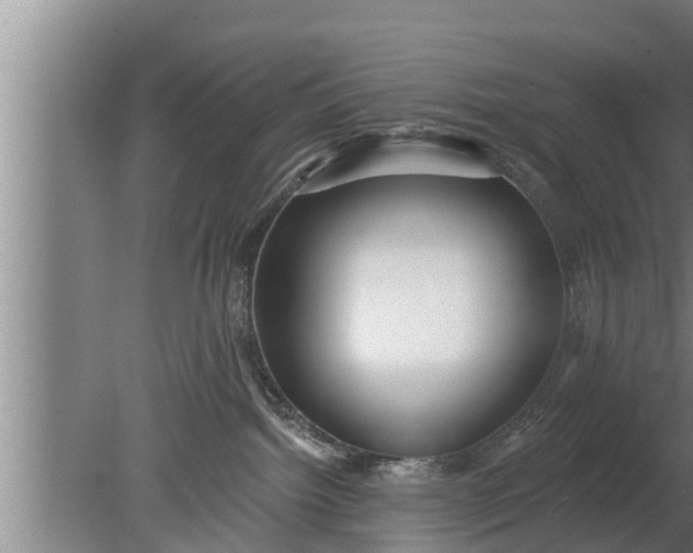 X0000080130092200612221908