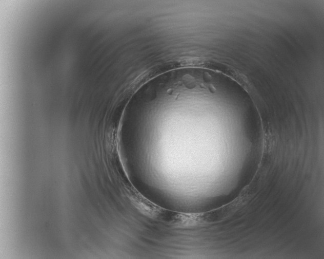 X0000080130093200612221908