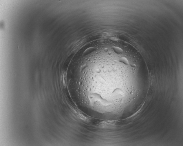 X0000080130094200612221908