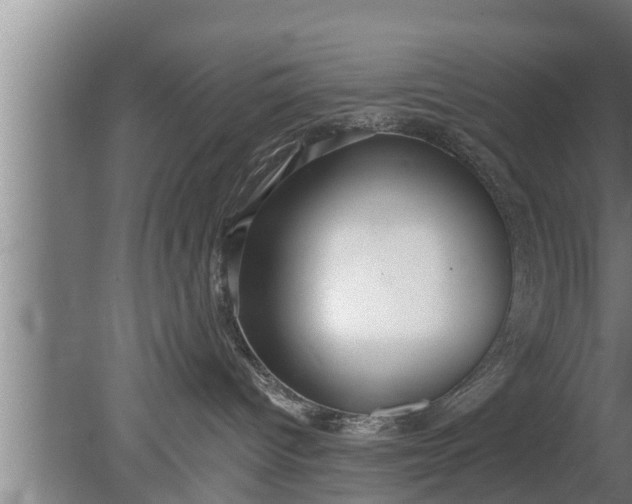 X0000080130096200612221908