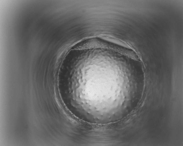 X0000080130097200612221907