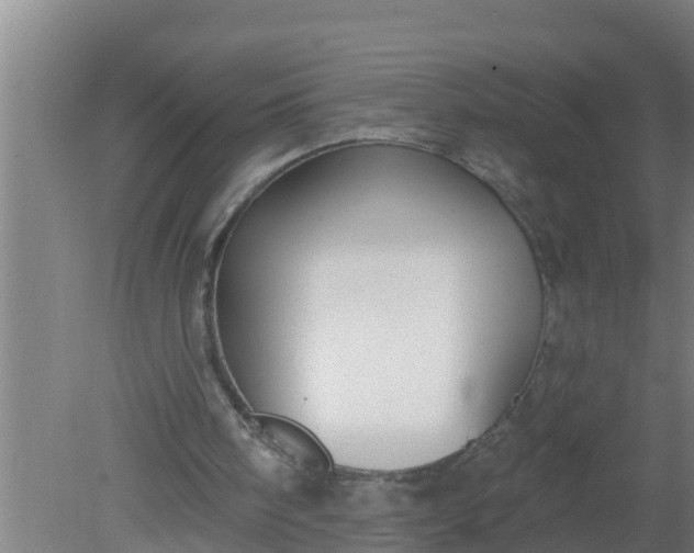 X0000080130098200612221907