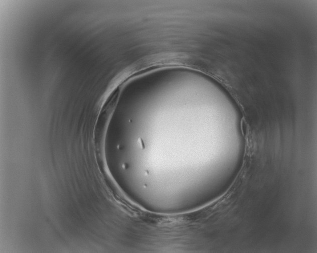 X0000080130099200612221907