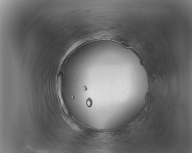 X0000080130100200612221907