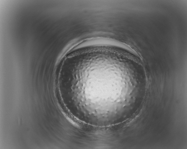 X0000080130101200612221907