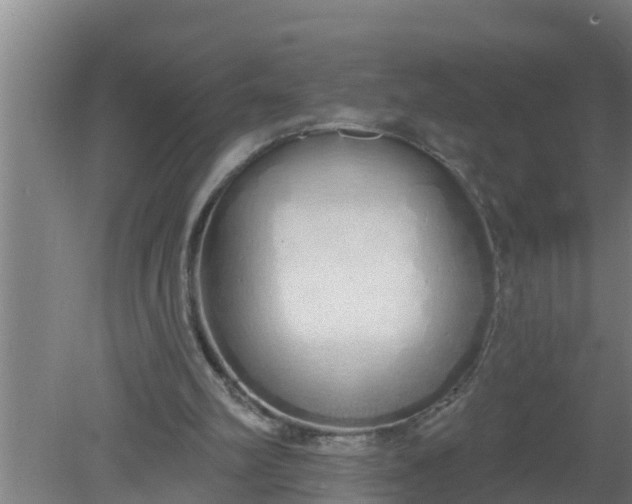 X0000080130102200612221907