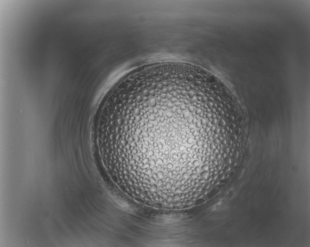 X0000080130103200612221907