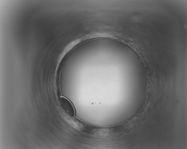 X0000080130104200612221907