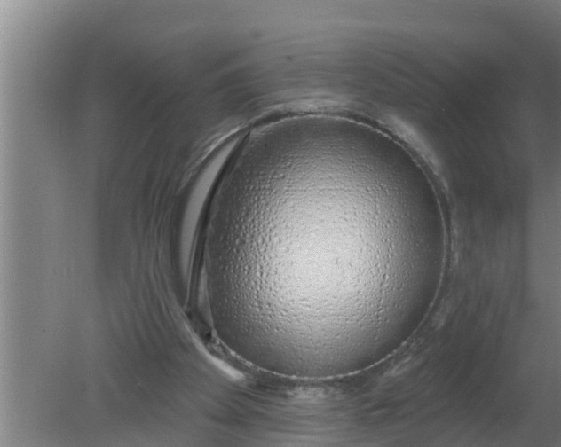 X0000080130105200612221907