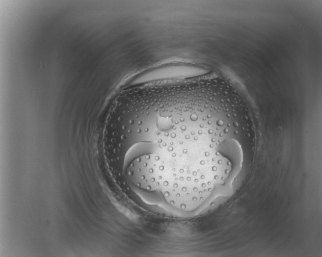 X0000080130106200612221907