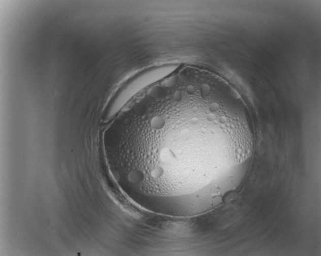 X0000080130107200612221907