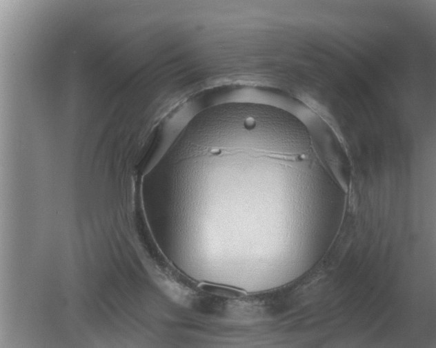 X0000080130109200612221907