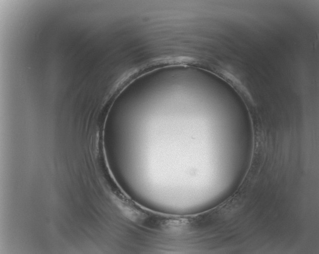 X0000080130110200612221907