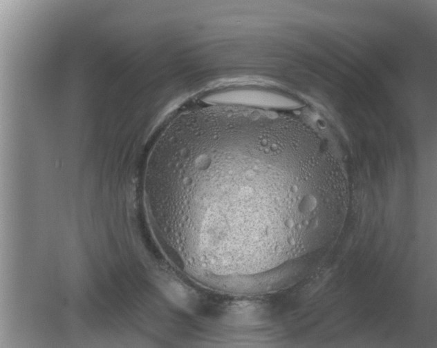 X0000080130111200612221907