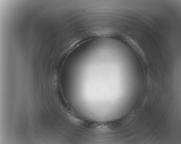 X0000080130113200612221907