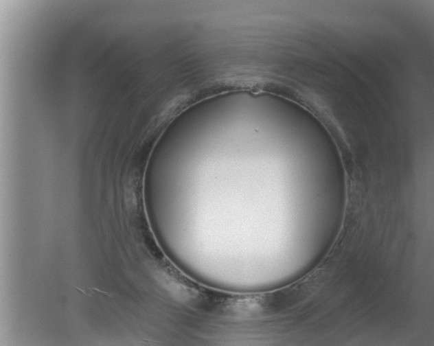 X0000080130114200612221907