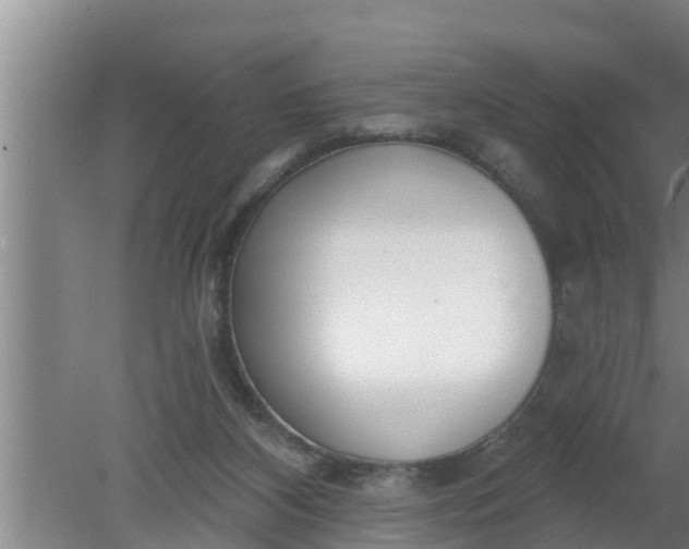 X0000080130116200612221907