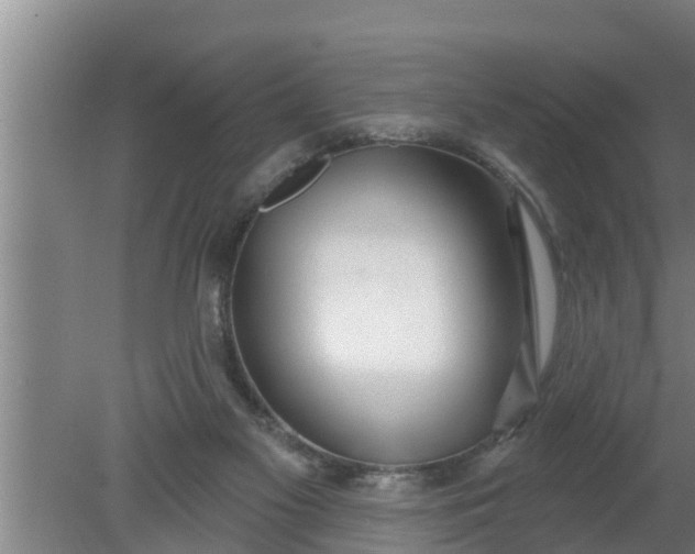 X0000080130117200612221907