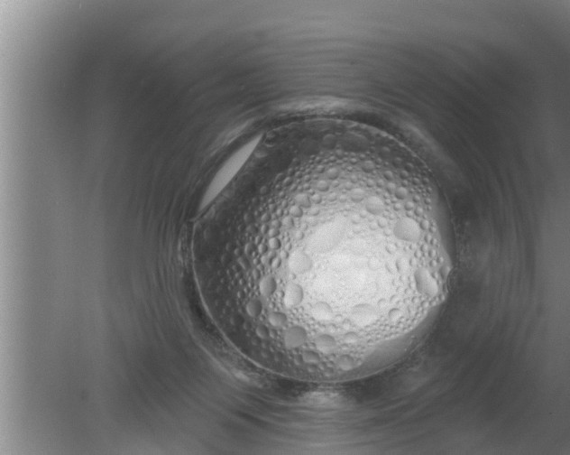 X0000080130119200612221907