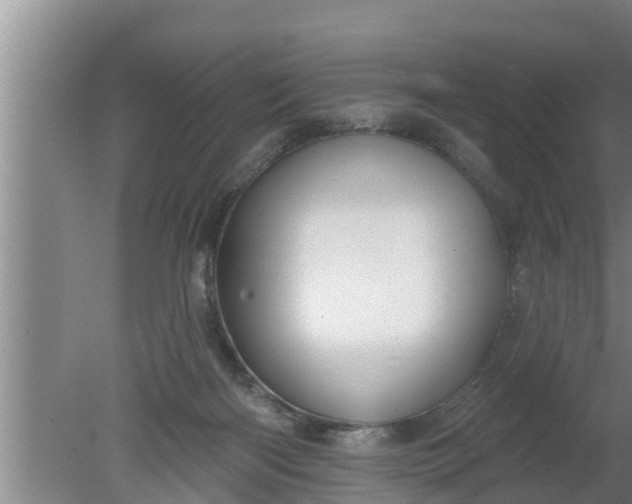 X0000080130122200612221907