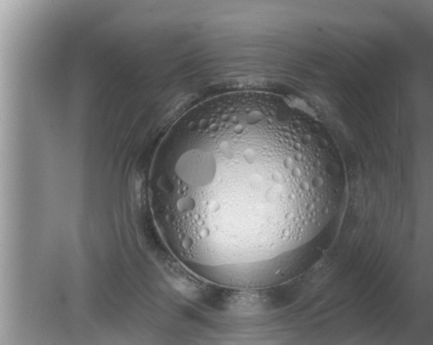 X0000080130123200612221907